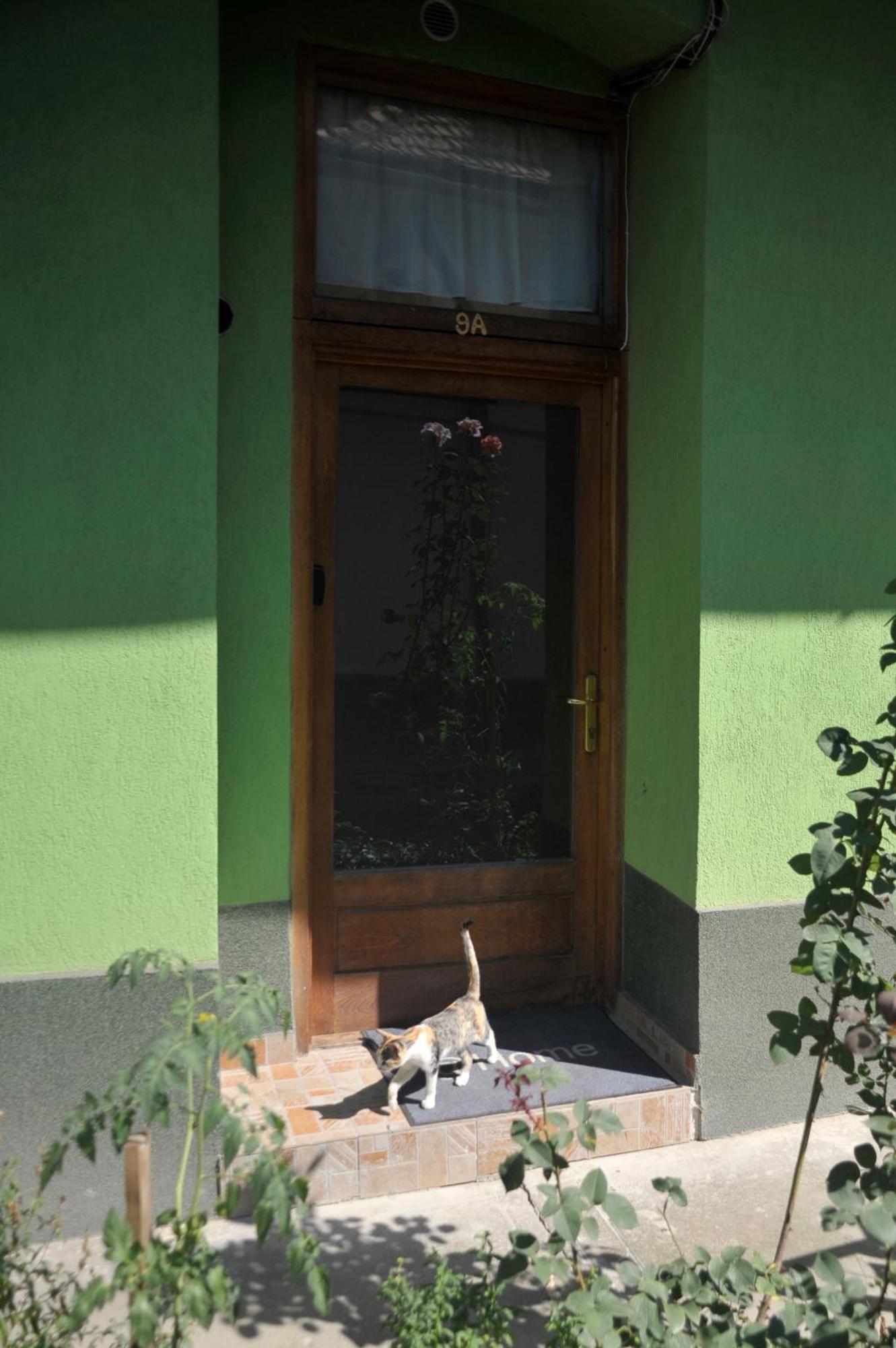 Atu Central Apartment Cluj-Napoca Eksteriør bilde